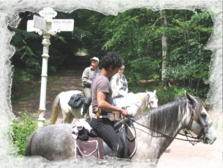  caminata ecuestre en junio 